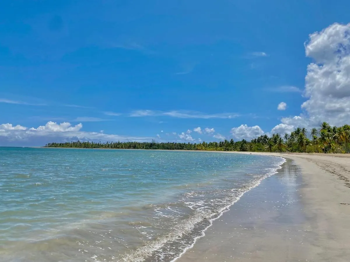 Apartment Stunning Beachfront Condo With Private Beach, Las Terrenas-El Limon