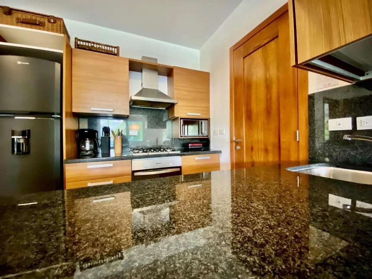 Stunning Beachfront Condo With Private Beach, Las Terrenas-El Limon